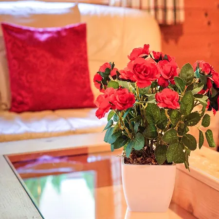 Village Wildschoenau Family Tatil Evi *