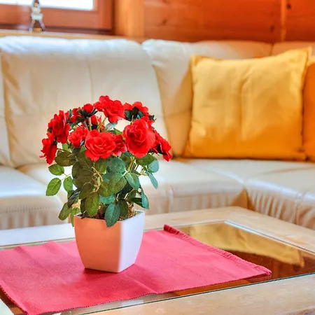 Tatil Evi Village Wildschoenau Family *