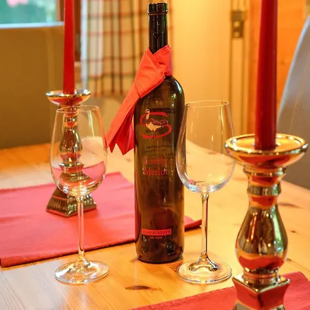 Village Wildschoenau Family *